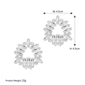 Luxury floral cluster shoe clip with silver rhinestones and 4.5cm diameter design - Radiant Flower Style (SC-J072)