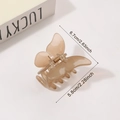 Pinza per capelli a farfalla champagne traslucida con dimensioni di 6,7 cm - Grigio Caffè