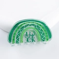 Pinza para el pelo arcoíris de San Patricio con tréboles verdes y la palabra LUCK - D10-4-19