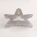 Sternförmige Haarklammer in perlmuttfarbenem Hellgrau mit holografischem Acetat-Finish - Holografisches Grau (D5-3-10)
