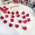 Pack of mini flower hair clips in matte burgundy finish with a clear storage box - Mixed Red