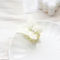 Pince à cheveux papillon crème mat pour chignon élégant sur plateau en céramique - Blanc 5.5cm
