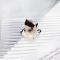 Tortoiseshell acetate cat hair claw clip for women featuring elegant marbled pattern - Tortoiseshell