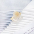 Chic acetate cat-shaped hair claw clip in translucent milky white with subtle shimmer - Gold