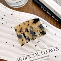 Elegant amber tortoiseshell hair claw clip in a classic rectangular shape on tray - Beige Tortoiseshell 5.2cm
