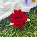 Vibrant red velvet rose flower claw clip for women on a natural green grass background - Bright Red 8cm
