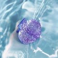 Sparkling purple seashell hair claw with white pearls and rhinestones on blue water background - 5cm / Blue and Purple