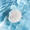 Elegant cream shell hair claw clip with faux pearls and rhinestones on blue wave background - 5cm / Gem White