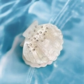 Pince à cheveux en coquillage avec perles et strass sur fond de vagues bleues - 5cm / Beige