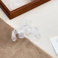 Elegant clear acrylic hair claw clip with white lace pattern and wavy ribbon design - White M-shape Style