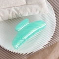 Elegant French striped claw clip in iridescent mint green finish for women - Striped Green