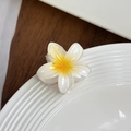 Élégante pince à cheveux frangipanier blanc avec dégradé jaune et finition en résine - Blanc