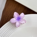 Pince à cheveux fleur de frangipanier élégante avec design dégradé violet - Violet