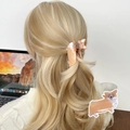 Pince à cheveux mignonne chien Corgi en acétate orange et blanc pour femmes - Style Corgi