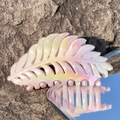 Leaf-shaped resin hair claw with iridescent pink and yellow gradient finish - Gradient Yellow Purple-Leaf