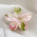 Pinza per capelli a fiore con trama marmorizzata rosa e verde per capelli folti stile vacanza - Arcobaleno