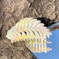Iridescent cream white leaf hair claw clip with pearlescent finish on a stone - Gradient Yellow Pink-Leaf