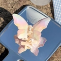 Iridescent butterfly hair claw clip with colorful gradient finish on mirrored surface - Gradient Yellow Pink-Butterfly