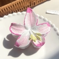 Pinza per capelli a forma di fiore sfumato rosa e bianco su piatto decorativo - Rosa