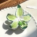 Elegante pinza per capelli a giglio con sfumatura verde e bianca in acetato - Verde