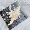 Pinza per capelli a forma di conchiglia bianca iridescente con finitura perlata per l'estate - Conchiglia 1