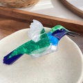 Vibrant hummingbird hair claw clip in colorful cellulose acetate with glossy finish - Hummingbird Shape / Green Bee Shadow