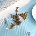 Pince à cheveux coquillage blanche et marron pour coiffures d'été de style marin - Conque Iridescente 12