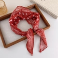 Detailopname van een rode sjaal met paisley-patroon geknoopt op een houten dienblad - Rood