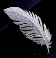 Makroaufnahme der silbernen Federbrosche mit glitzernden Zirkonia auf dunklem Grund - Silber