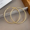 Close-up of golden frosted hoop earrings featuring a fine shimmer texture on a jewelry tray - 5cm / Gold