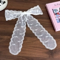 Close-up of elegant white lace ribbon with embroidered patterns and wavy edges - White Letter Style