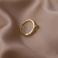 Macro detail of gold-plated belt buckle ring featuring shimmering zircon stones - Gold