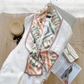 Detail of silk-like long scarf with ink painting patterns on a white suit jacket - 17*150cm / Tassel Stripes
