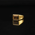 Anello con sigillo da uomo placcato in oro con occhio di tigre rettangolare su fondo nero - US 7 / Oro