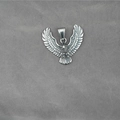 Silberner Edelstahl Adler-Anhänger mit detailliertem Federrelief und coolem Punk-Stil - Stahlfarbe Nur Anhänger (Ohne Kette)