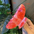 Pink heart pattern large hair claw clip in translucent acetate for sweet ponytail styling - Red with Dark Red Heart (3)