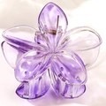 Pinza para el pelo con forma de flor púrpura en acrílico translúcido para vacaciones - Grande / Morado
