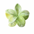 Détail de la pince à cheveux fleur 8cm en marbre vert avec texture en acétate - Fleur Verte