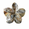Détail de la pince à cheveux 8cm motif marbré avec design fleur de frangipanier - Floral Marron