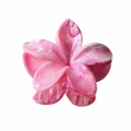 Vue détaillée d'une pince à cheveux fleur de frangipanier rose marbré de 8cm - Fleur Rose Rouge