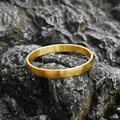 Minimalist gold titanium steel bangle with brushed metal finish and side hinge - Frosted Large Style / Gold