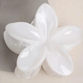 Eleganter 8cm weißer Frangipani Haarklammer mit perlmuttfarbenem Farbverlauf-Finish - Weiß