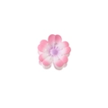 Detailed macro view of the pink gradient flower hair claw with fine petal textures - Deep Pink