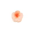 Pinza per capelli a fiore da 8cm con sfumatura rosa-arancio e petali di resina lucida - Arancione-4cm