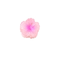 Pink cherry blossom hair claw with gradient finish for elegant hairstyles - Pink-4cm