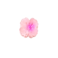 Pink gradient floral hair claw clip in a sweet flower design with 4cm size - Pink