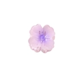 Sweet 4cm purple gradient flower hair claw clip with heart shaped petals in resin - Purple