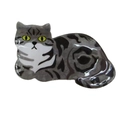 Pince à cheveux chat gris rayé en acrylique brillant pour des coiffures femmes stylées - Noir et Gris