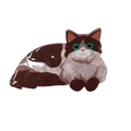 Pince à cheveux chat mignonne en acétate brillant marron et beige avec yeux verts - Marron