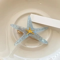 Hellblaue Seestern-Haarklammer mit goldenen Akzenten und metallischer Entenschnabelklemme - Graublau